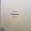 pegasus-training-manual-by-mark-ham